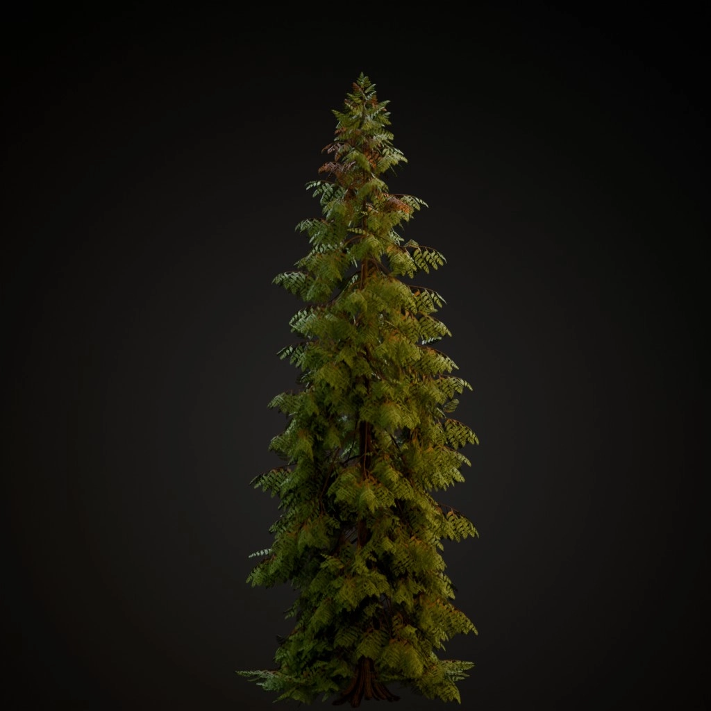 Western Red Cedar V2