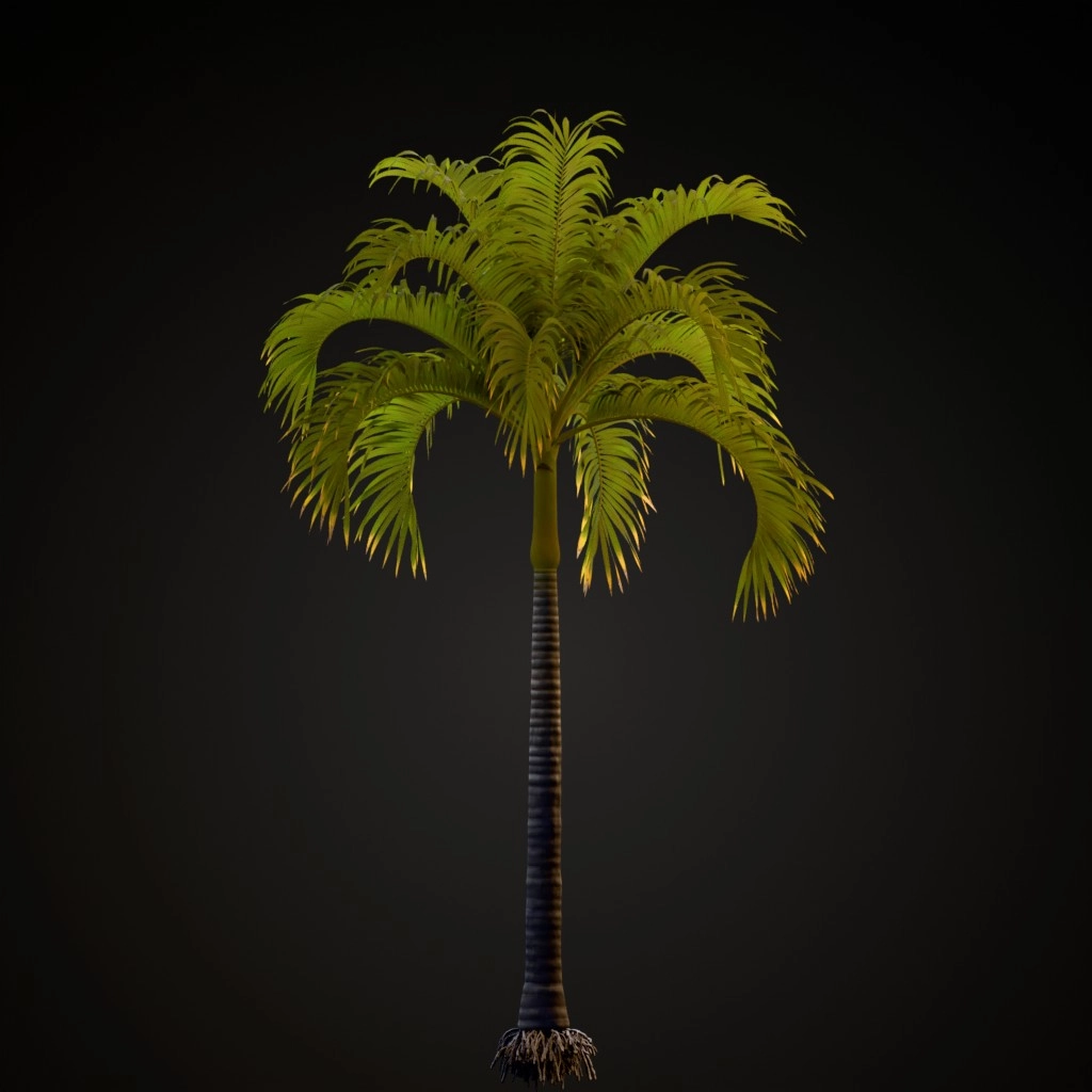 Christmas Palm