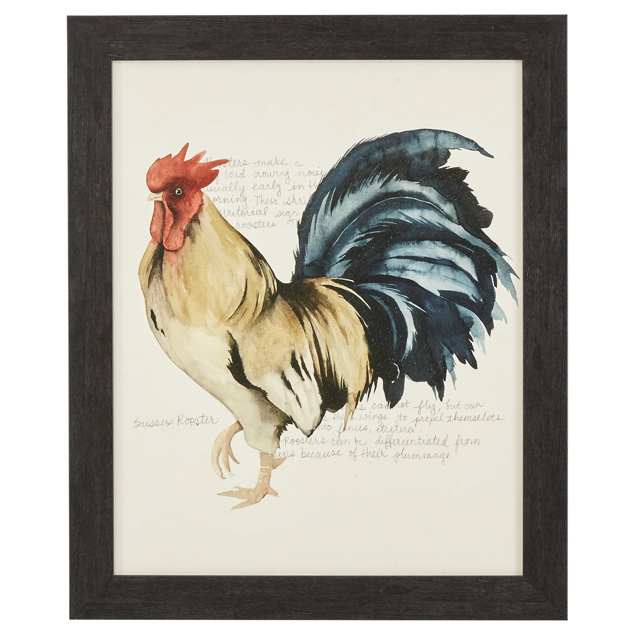 Sussex Rooster Framed Wall Art – Country Farmhouse Print