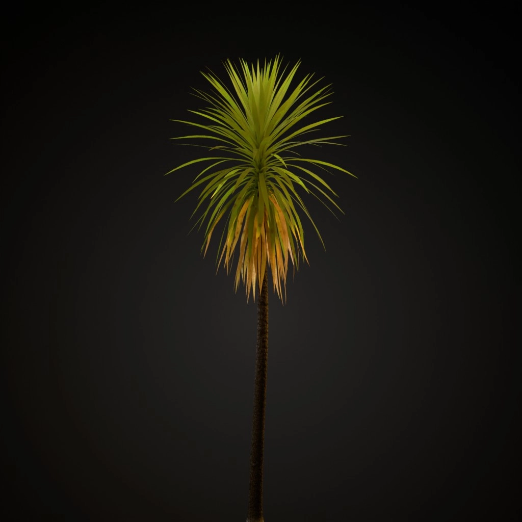 Cabbage Tree
