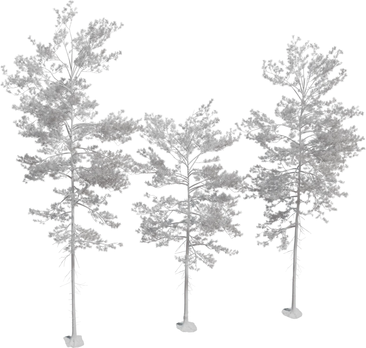 Realistic Pine Tree Pack - 3 Variants, 3D model preview 1