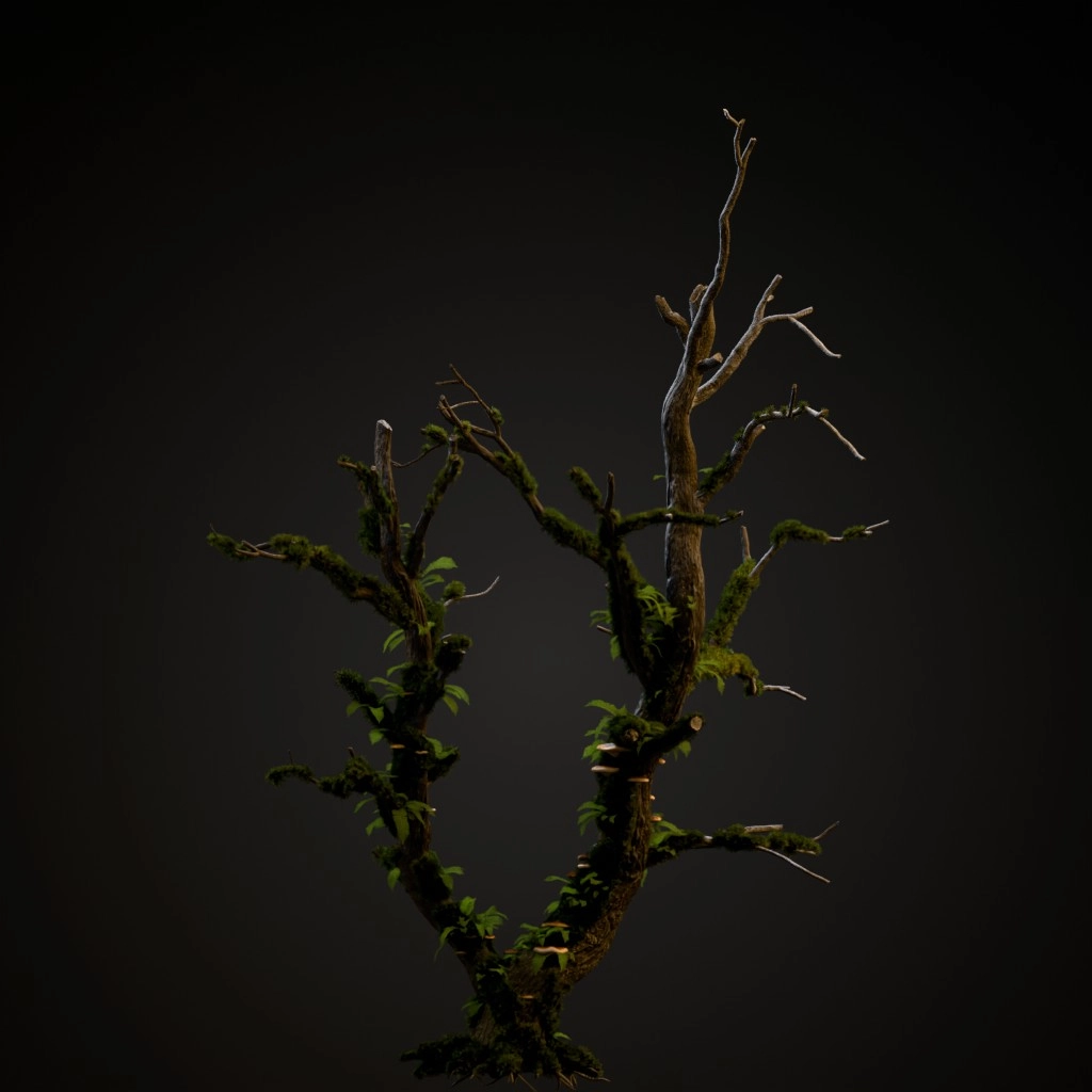 English Oak Dead