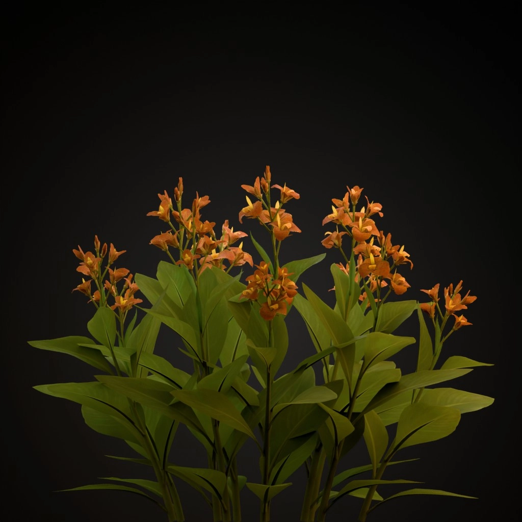 Orange Canna Lily