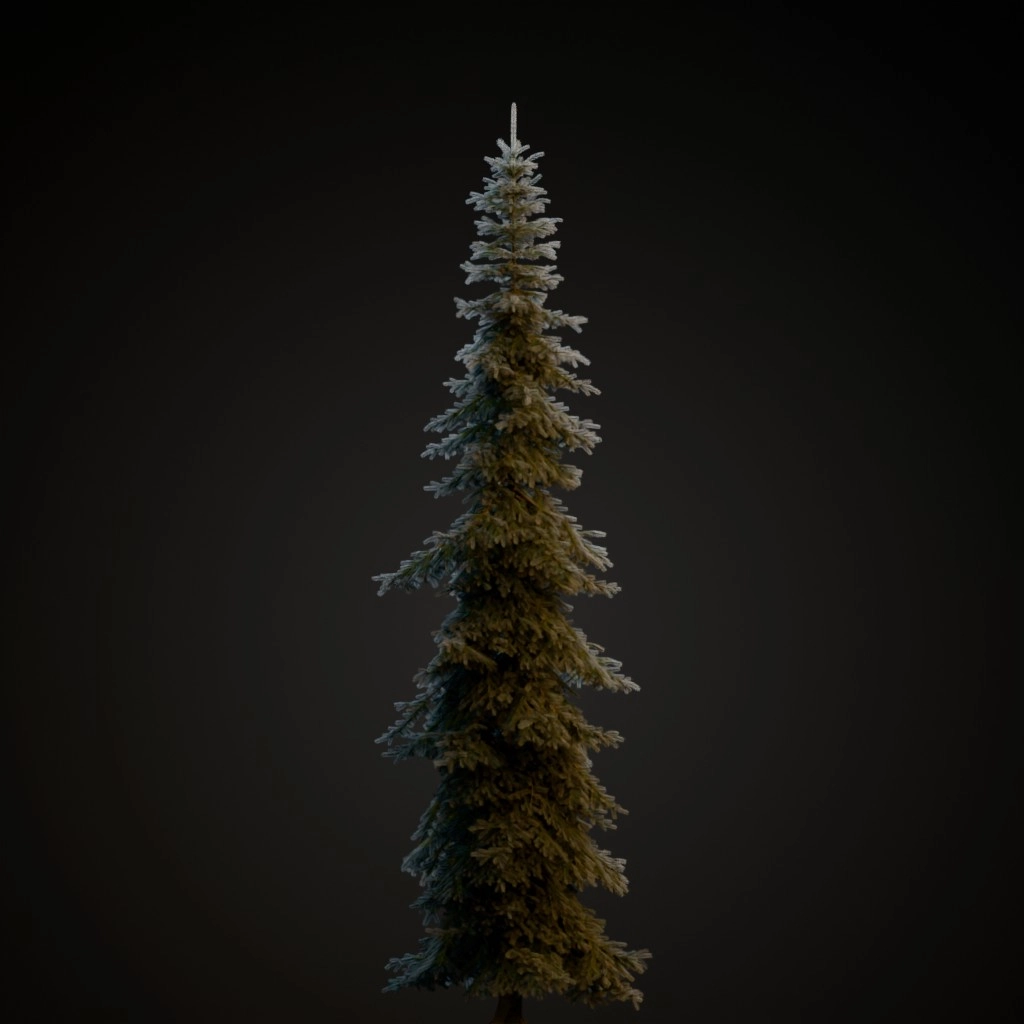 Koster Blue Spruce