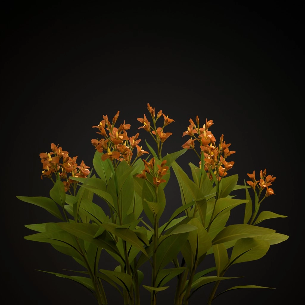 Orange Canna Lily