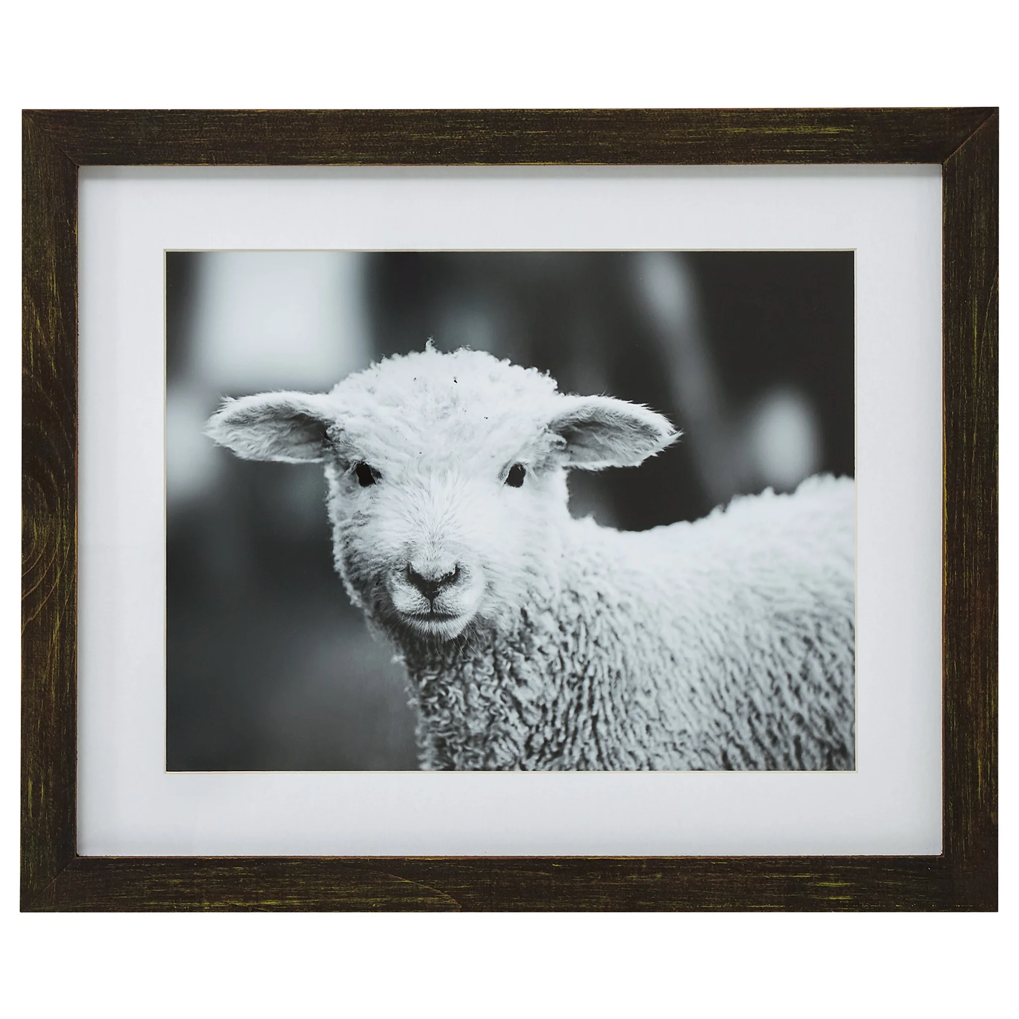 Rustic Brown Framed Black and White Lamb Photo Wall Art
