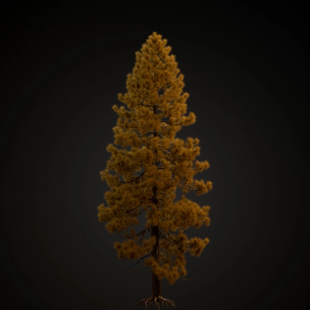Jeffrey Pine V3