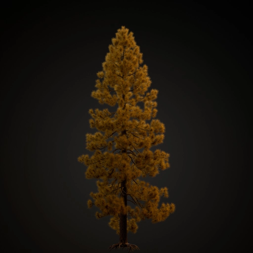 Jeffrey Pine V3