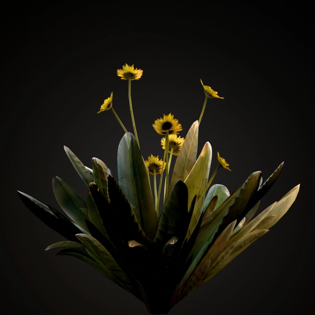 Frailejon