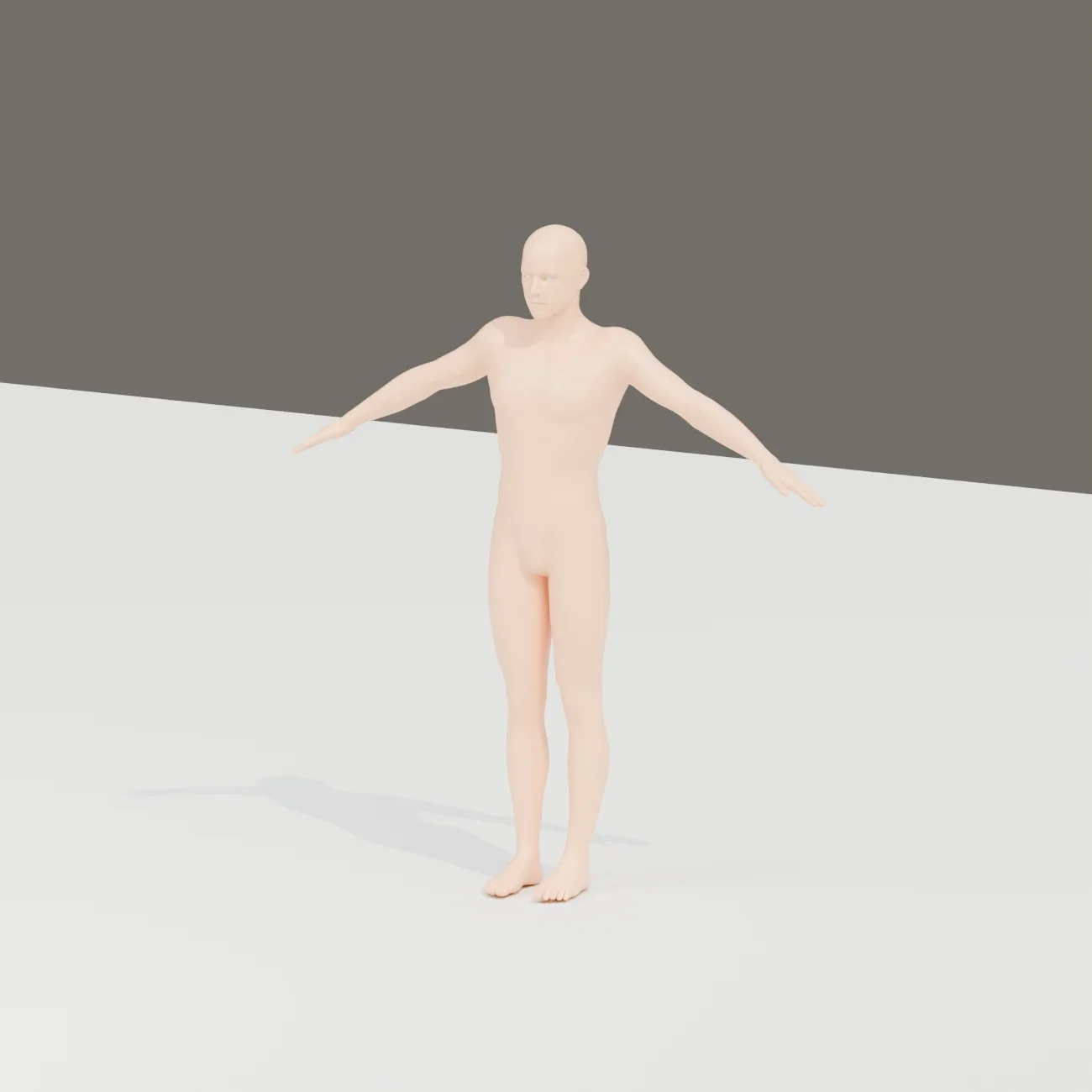 Basemesh Male 1, 3D model preview 2