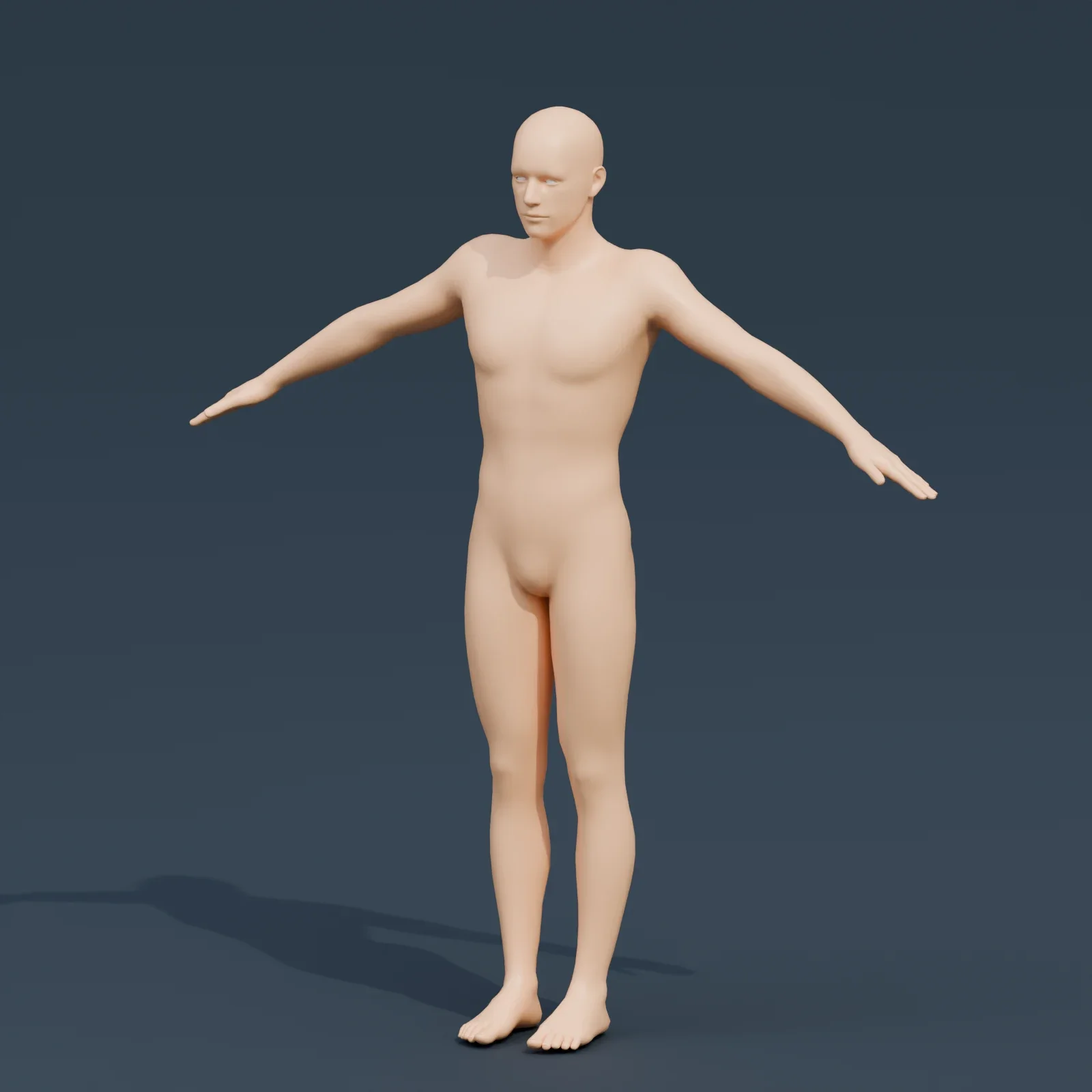 Basemesh Male 1, 3D model preview 3