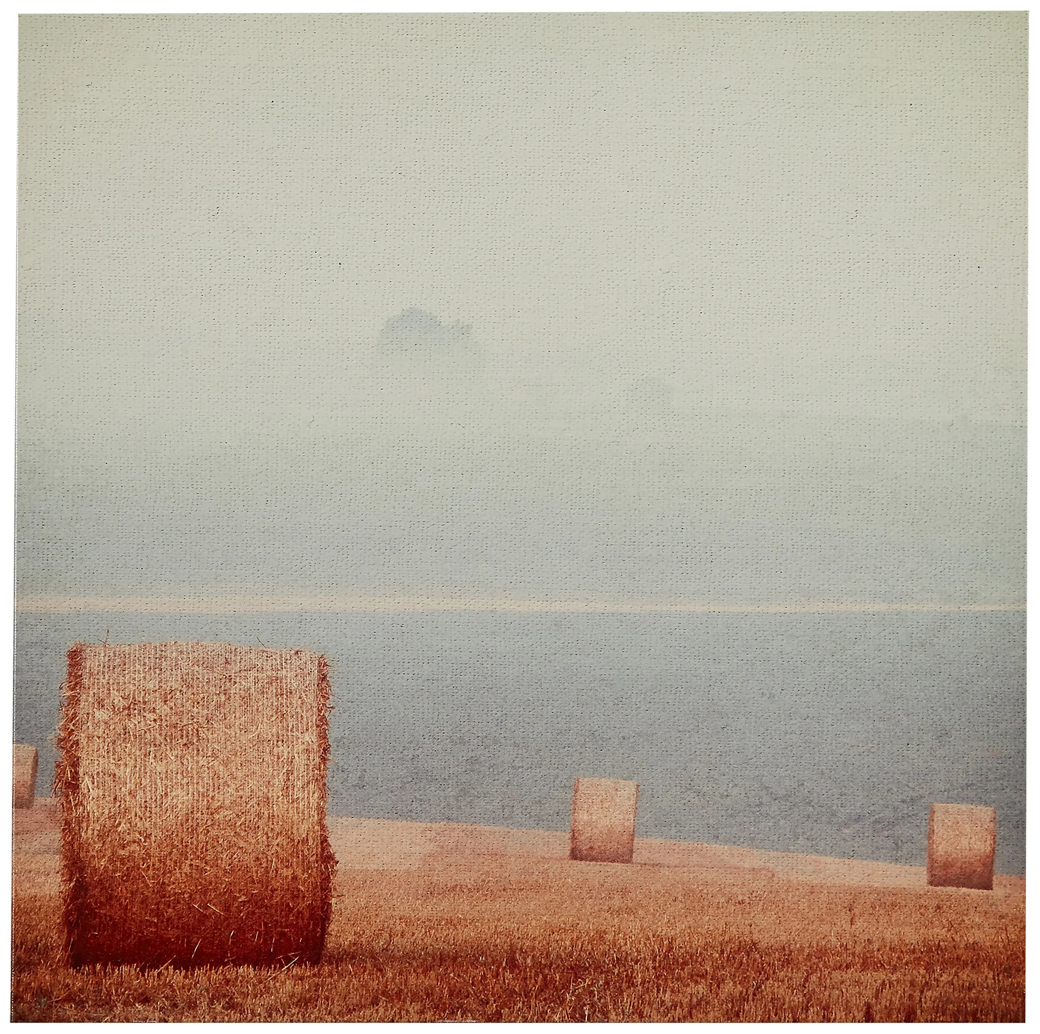 Coastal Hay Bales Misty Morning Canvas Wall Art
