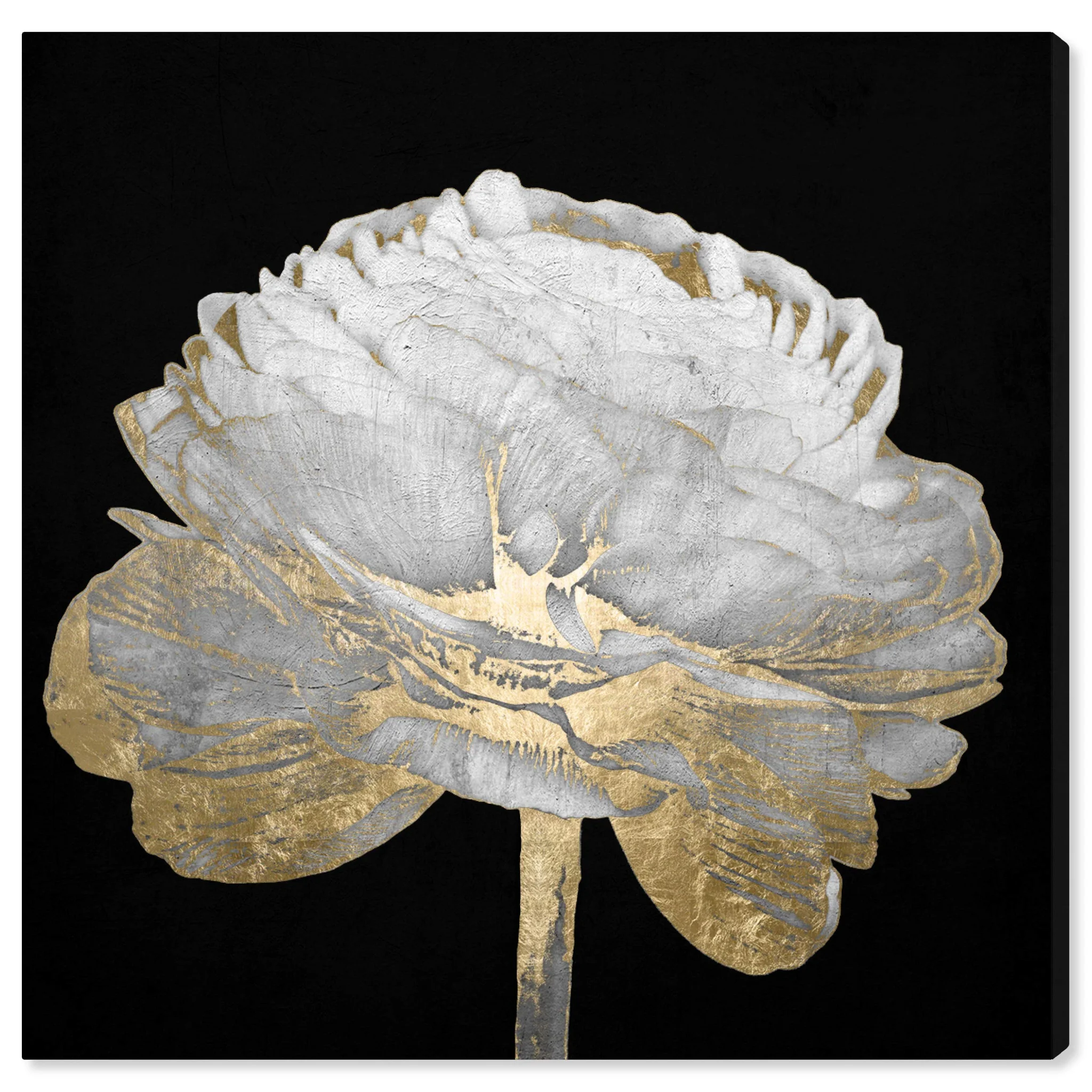 Gold and White Peony Floral Canvas Wall Art