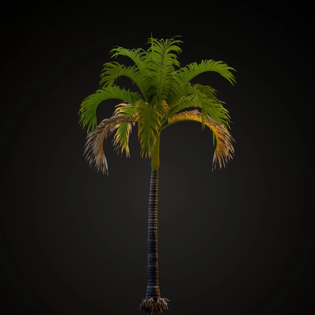 Christmas Palm