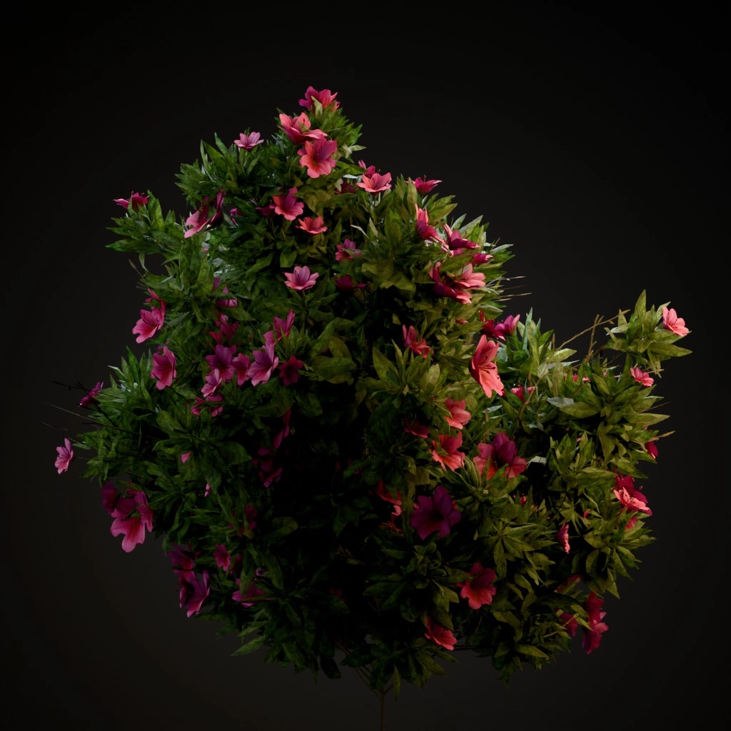 Azalea
