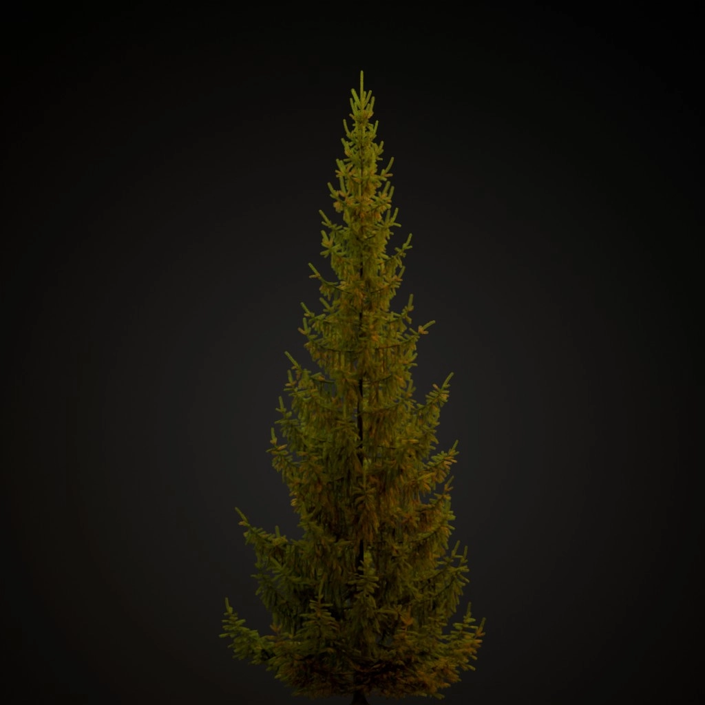 Norway Spruce V2