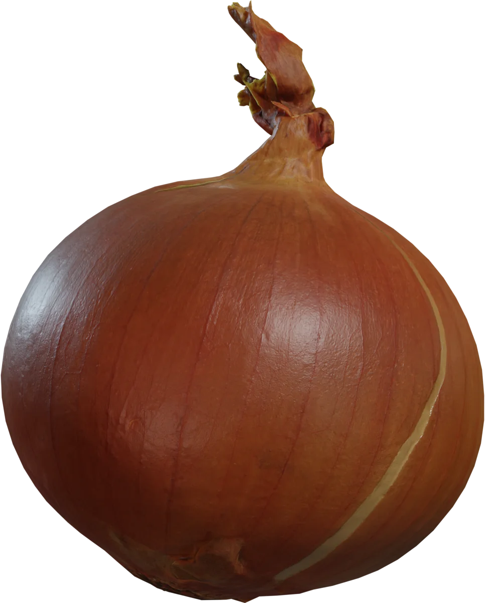 Realistic Yellow Onion 4K