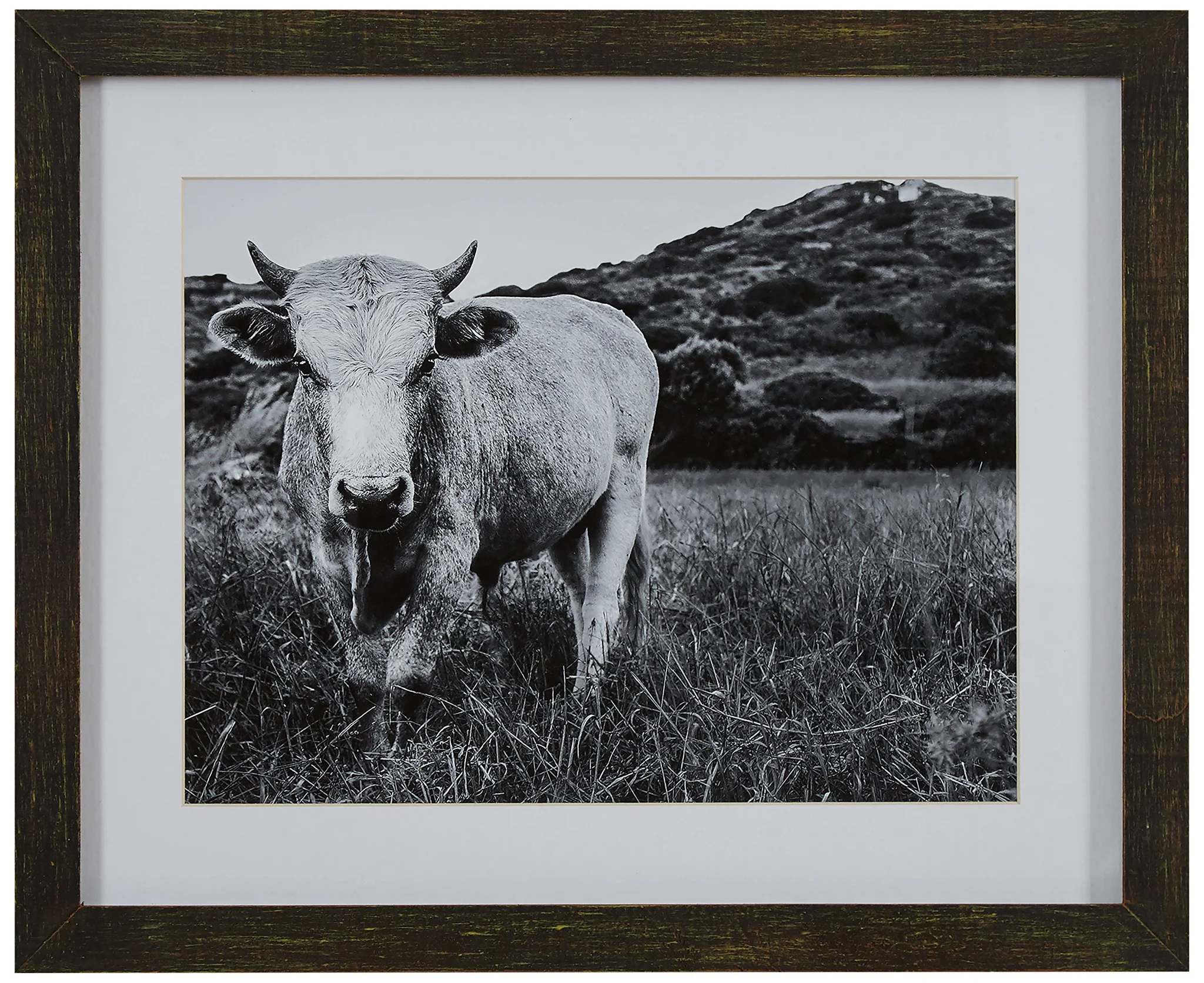 Framed Black and White Bull Wall Art Print with Rustic Charcoal Wood Frame
