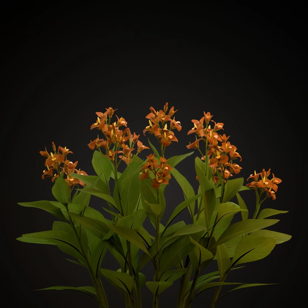 Orange Canna Lily