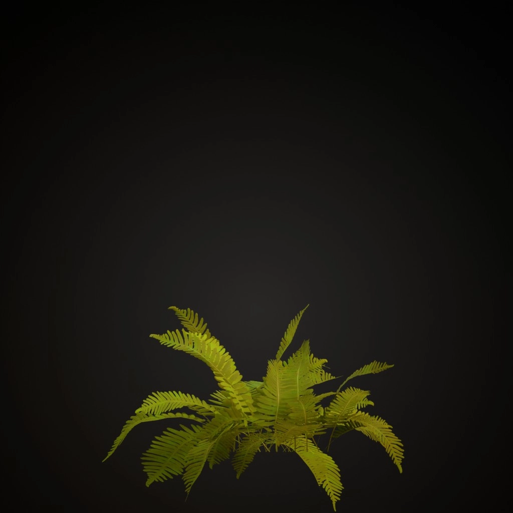 Common Polypody