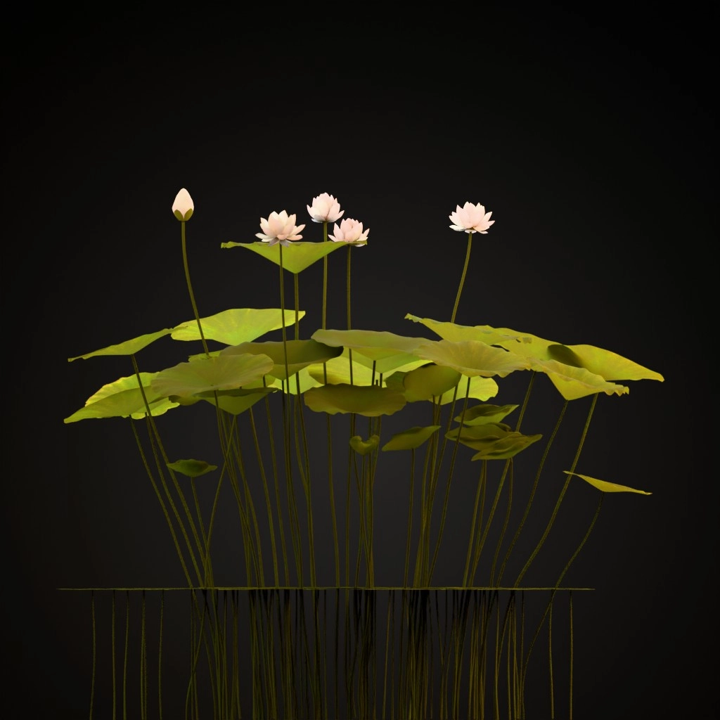 Sacred Lotus