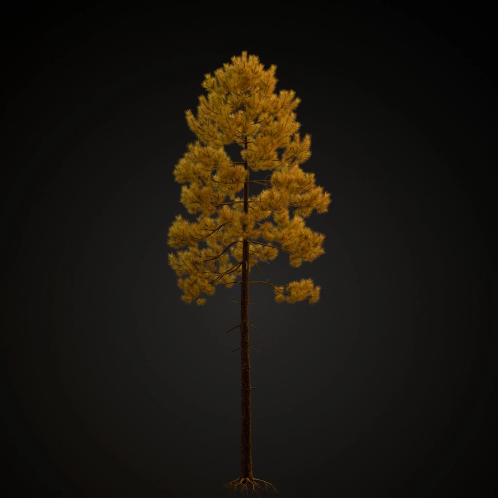 Maritime Pine V2