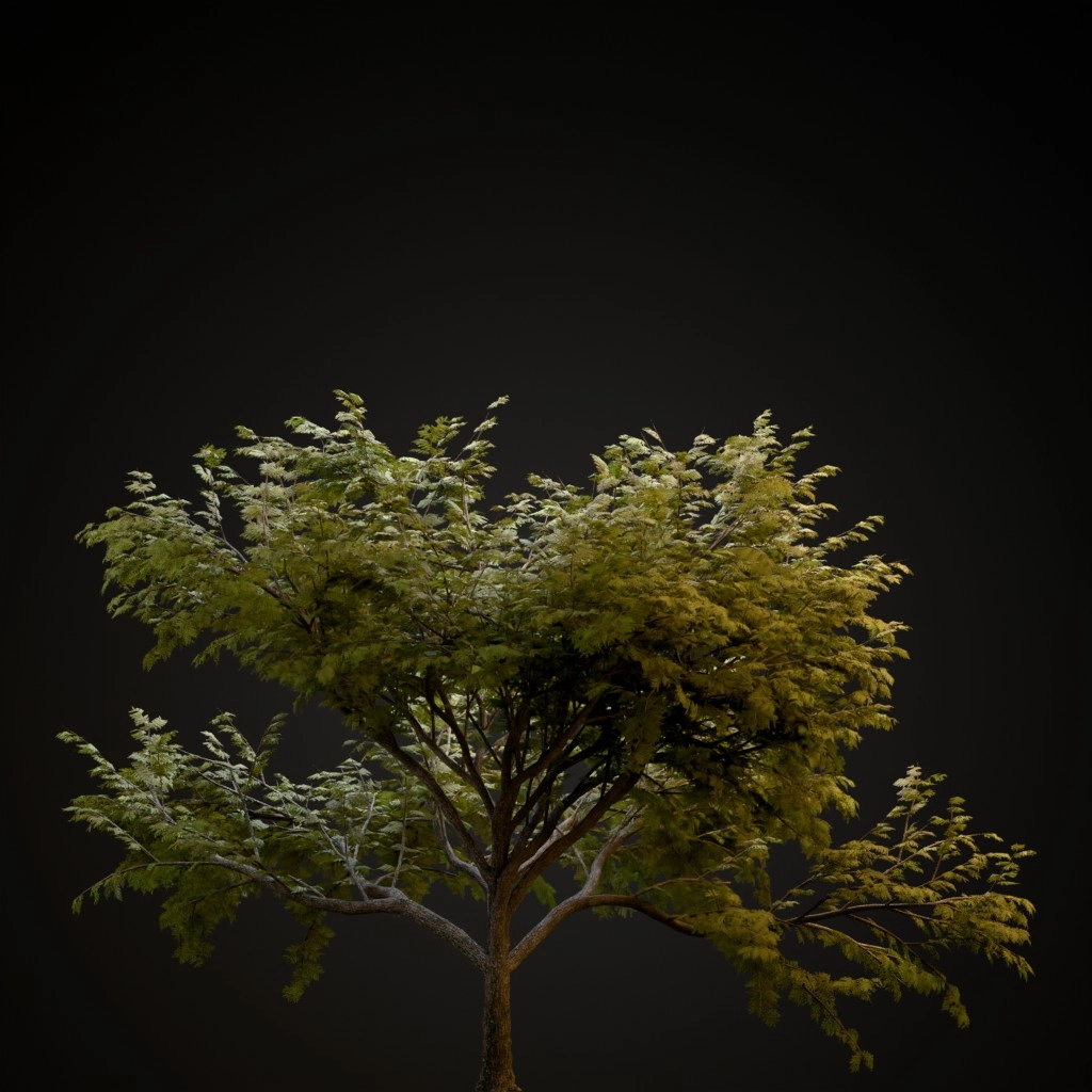 Hook Thorn