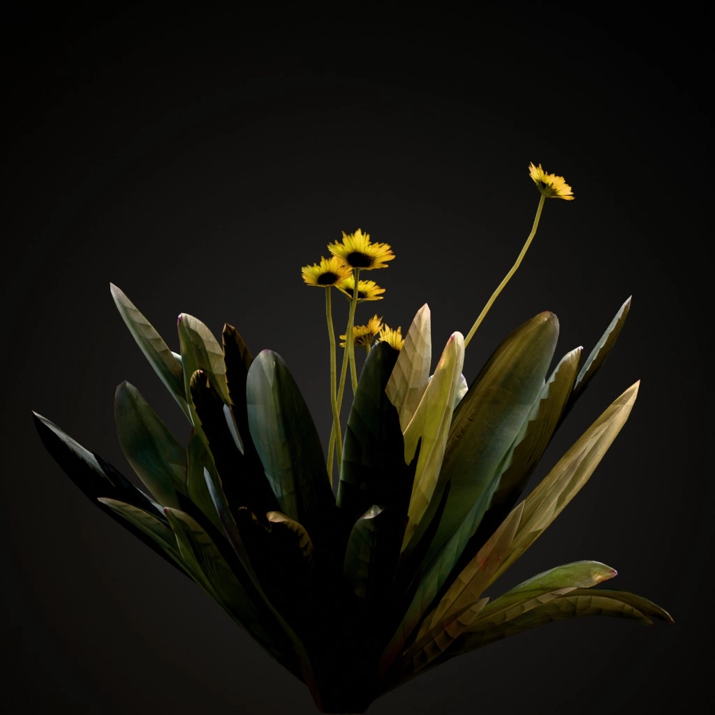 Frailejon