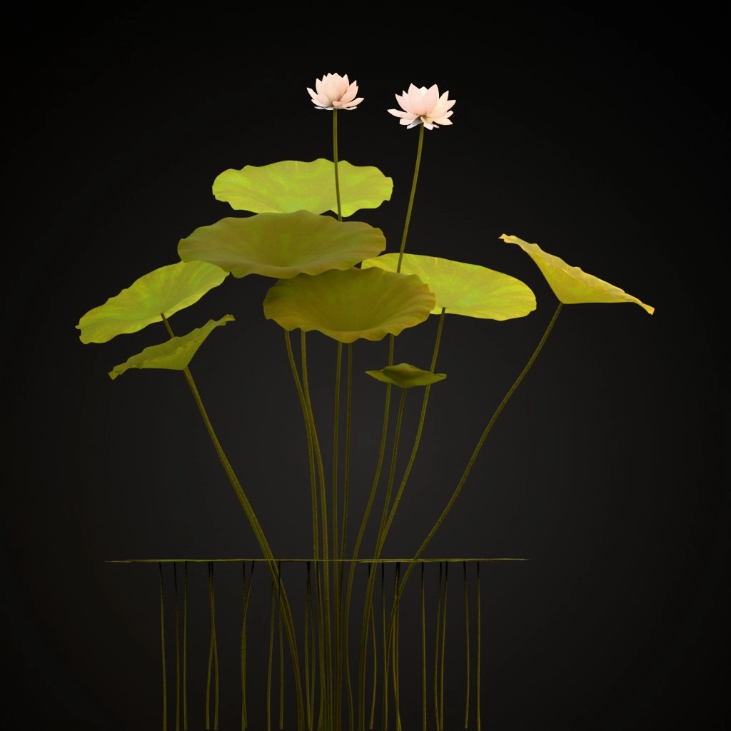 Sacred Lotus
