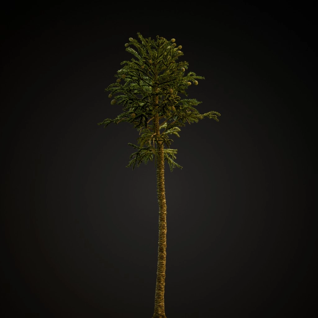 Monkey Puzzle