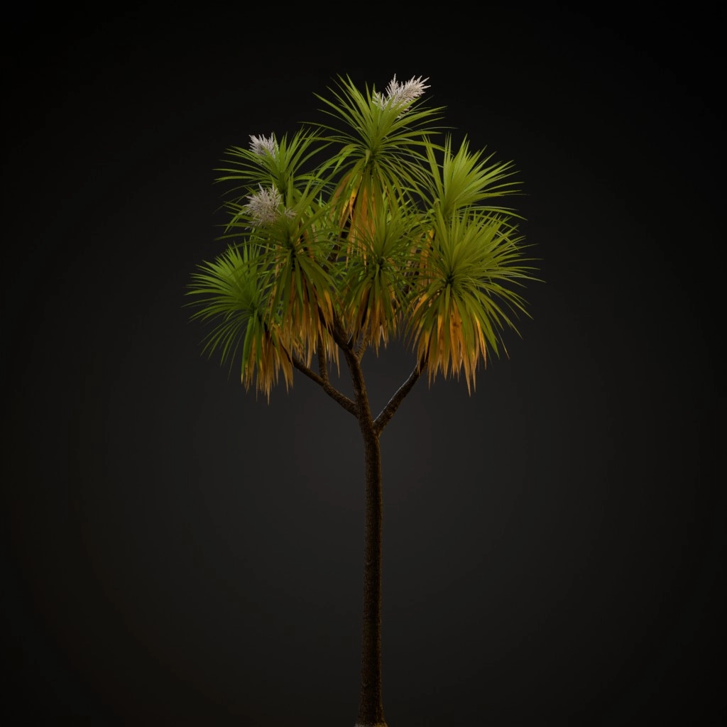 Cabbage Tree