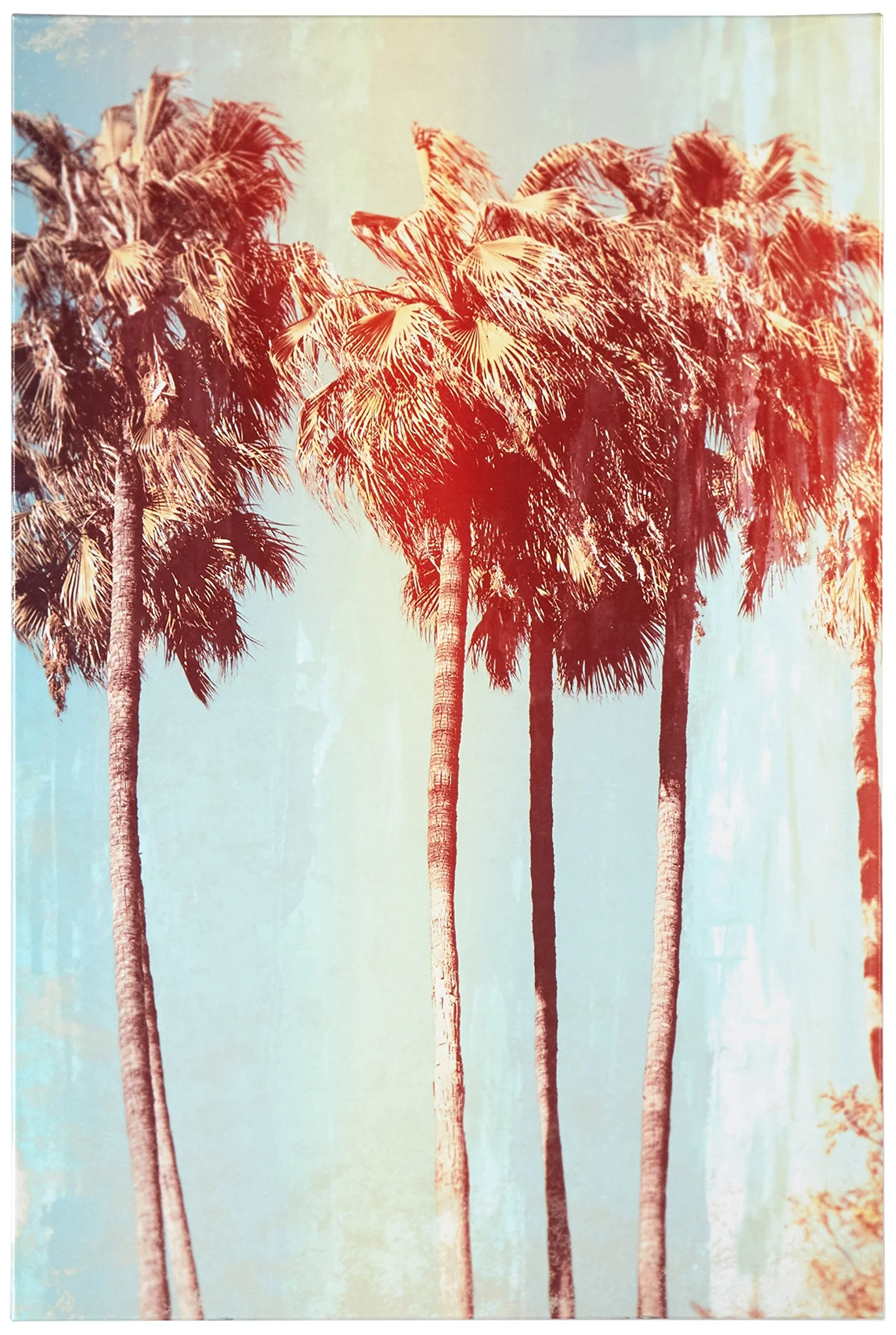 Vintage Sepia Palm Tree Canvas Wall Art Print