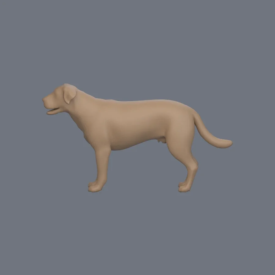 Dog Basemesh 05, 3D model preview 3