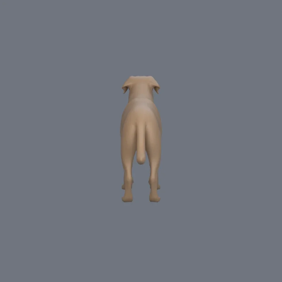 Dog Basemesh 05, 3D model preview 4