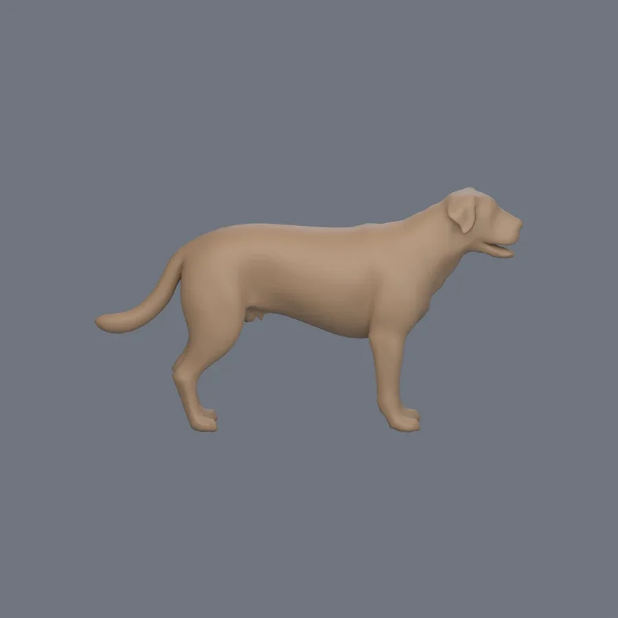Dog Basemesh 05, 3D model preview 5