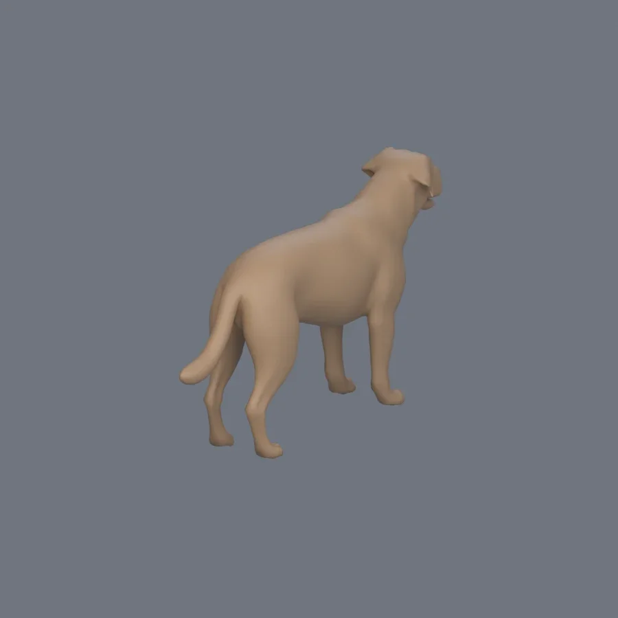 Dog Basemesh 05, 3D model preview 7