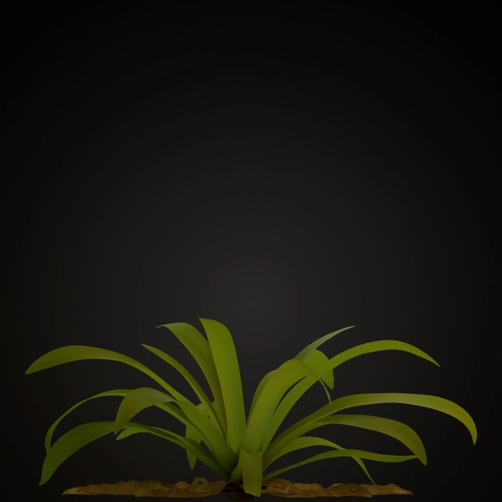 Red Guzmania