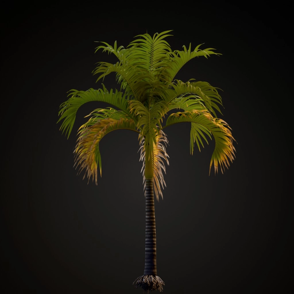 Christmas Palm