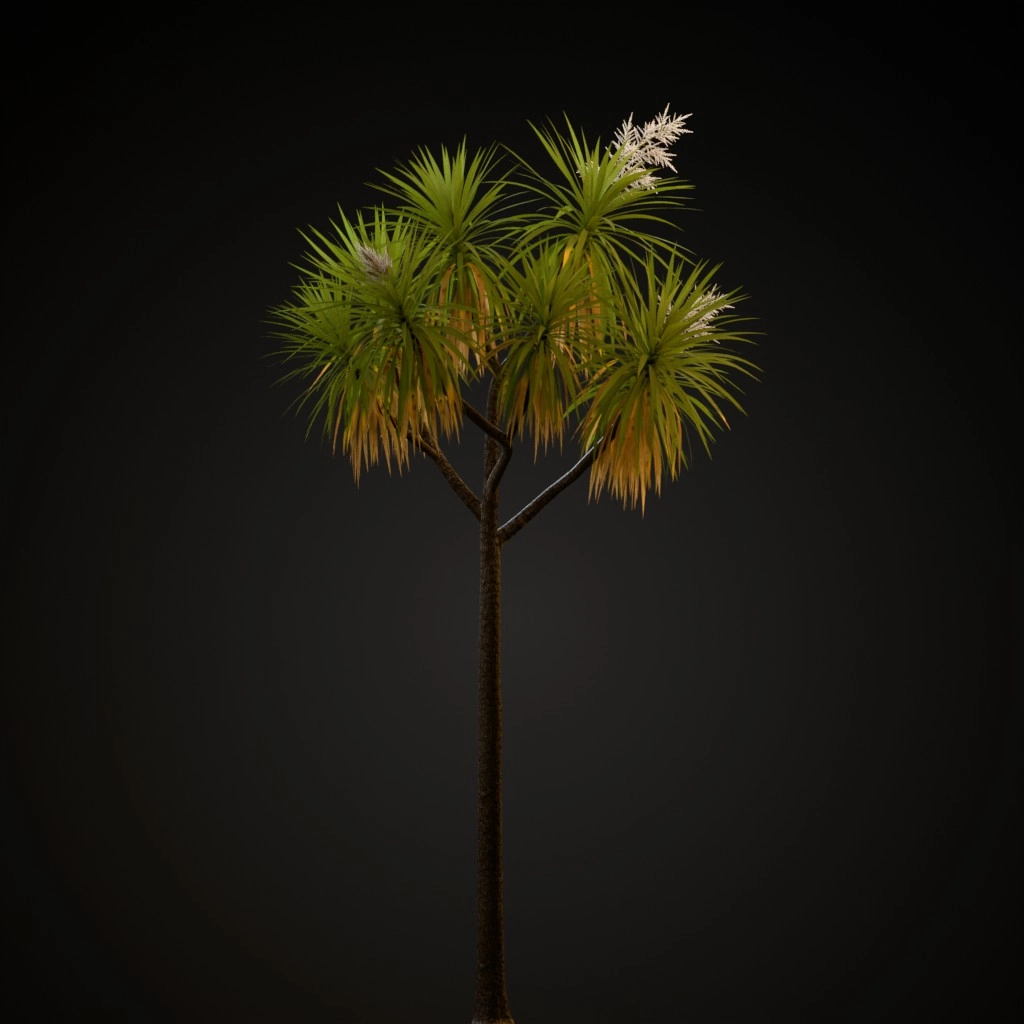 Cabbage Tree