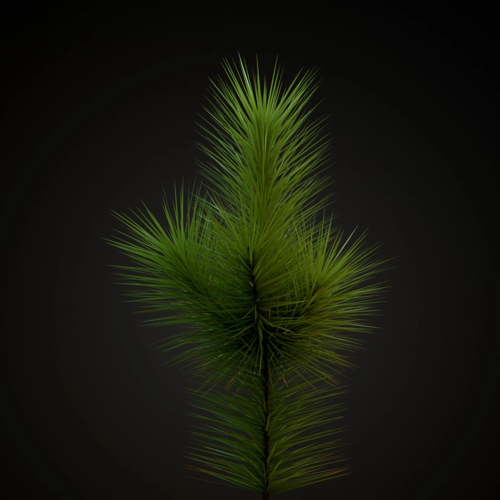 Ponderosa Pine V2