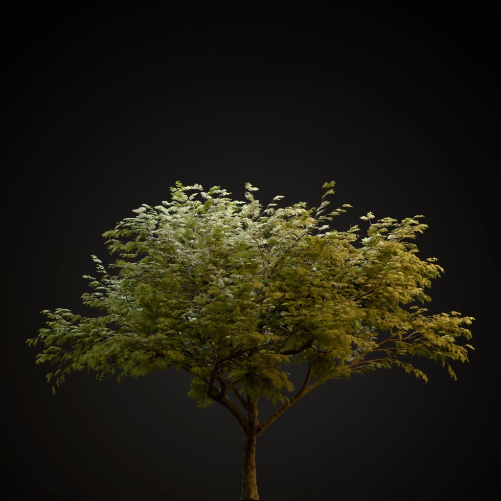 Hook Thorn
