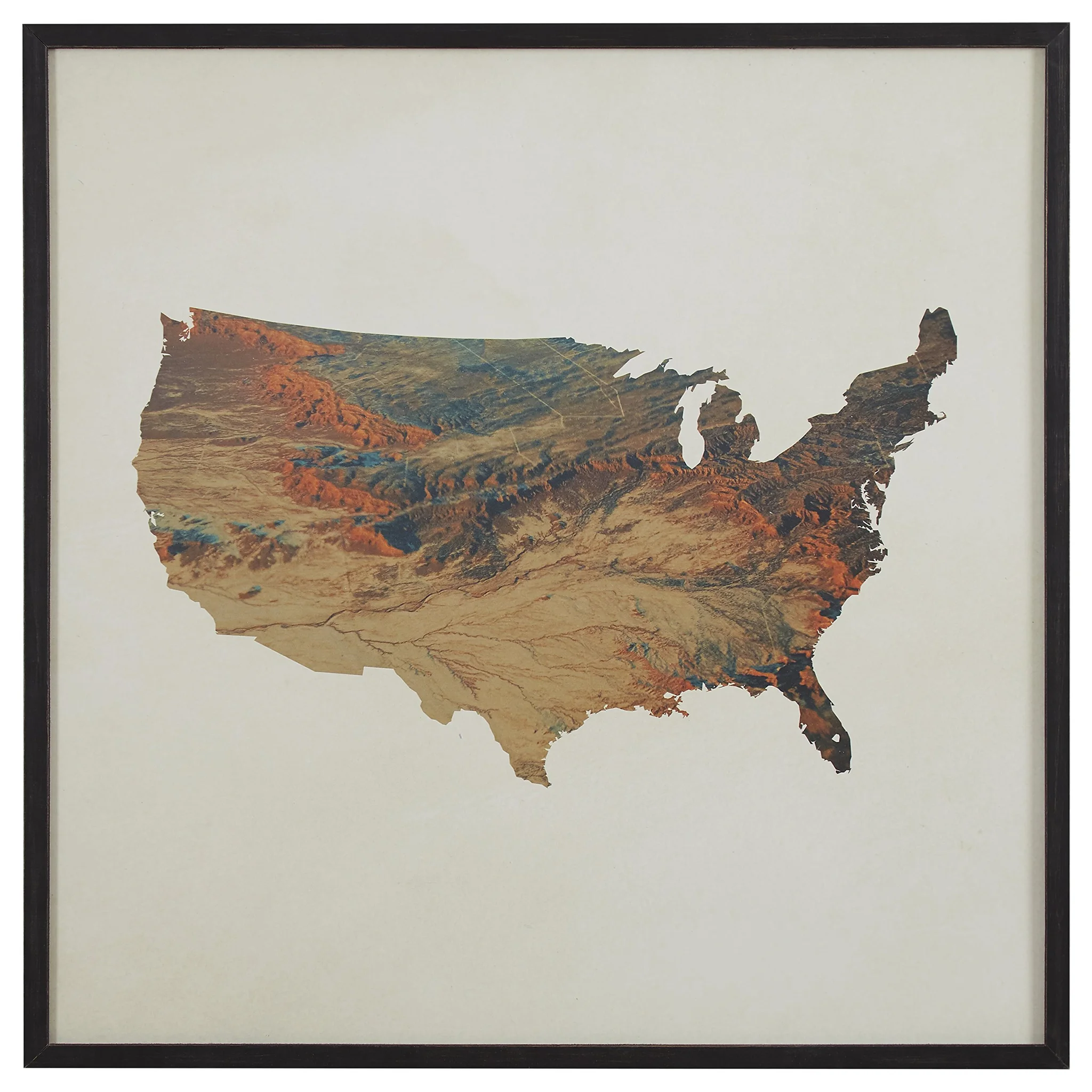 Framed Topographic USA Map Wall Art