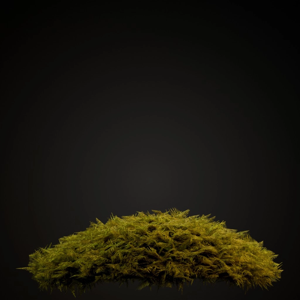 Common Tamarisk Moss