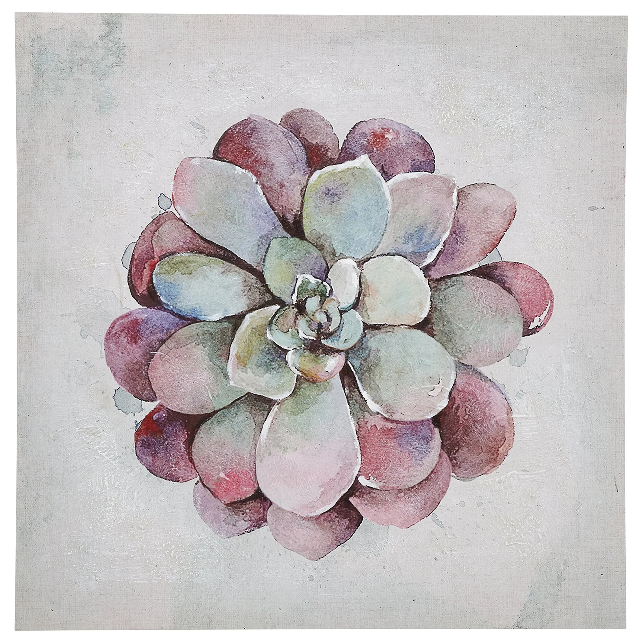 Echeveria Succulent Watercolor Canvas Wall Art
