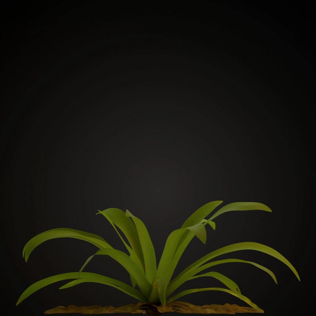 Yellow Guzmania