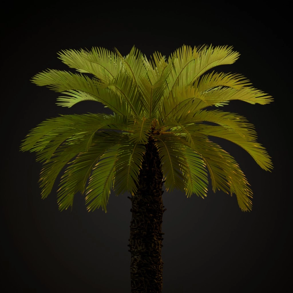 Sago Palm V2