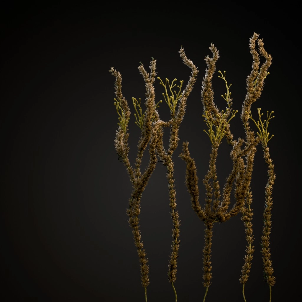 Sagebrush