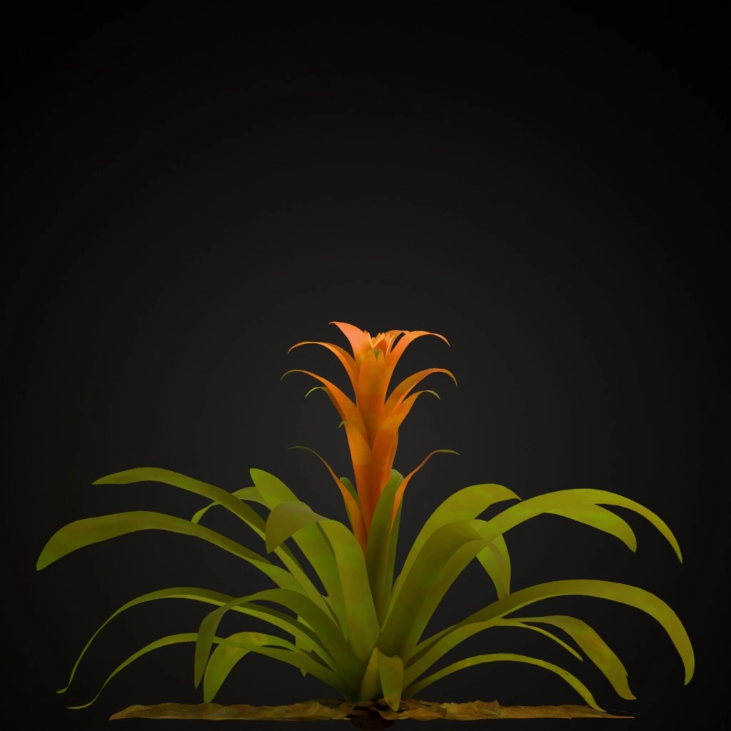 Red Guzmania