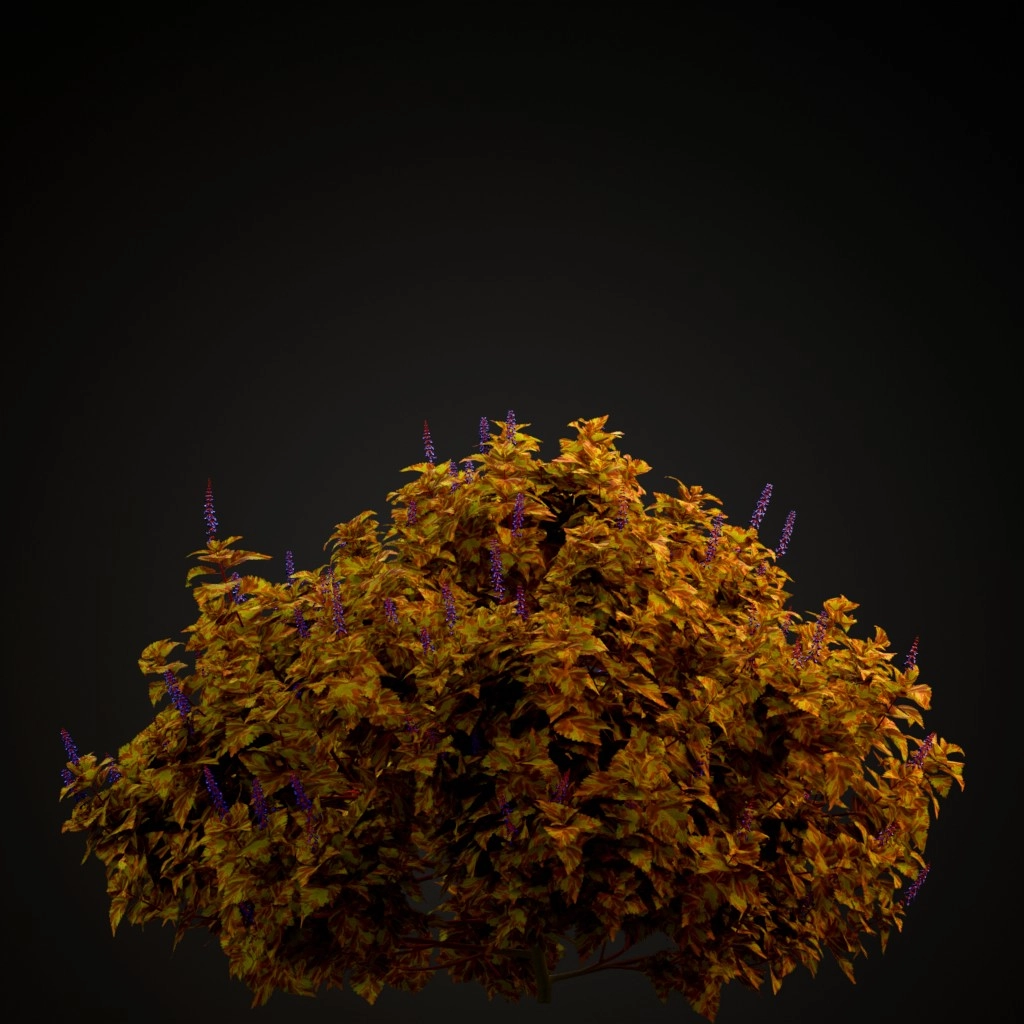 Fairway Mosaic Coleus