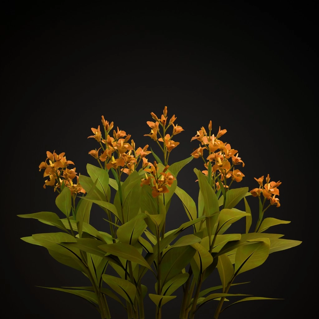 Orange Canna Lily